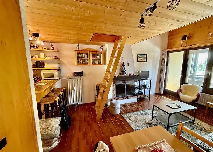 Daire 72 22 Cozy Duplex 4 People Gryon